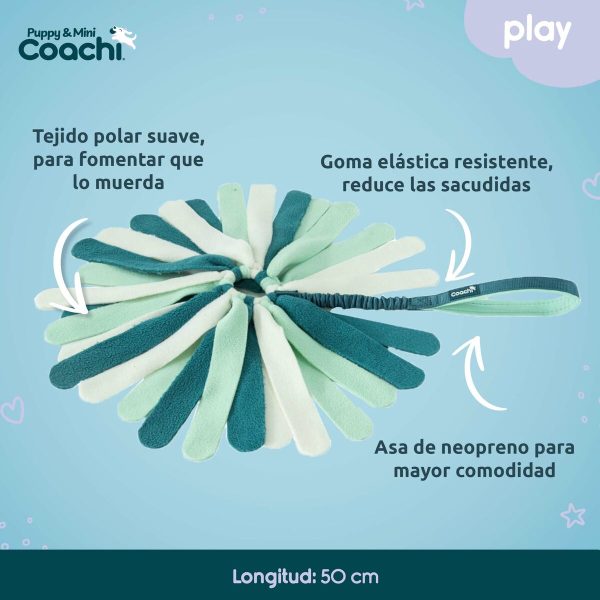 Dog toy Coachi PUPPY & MINI TUGGI SPIDER Green
