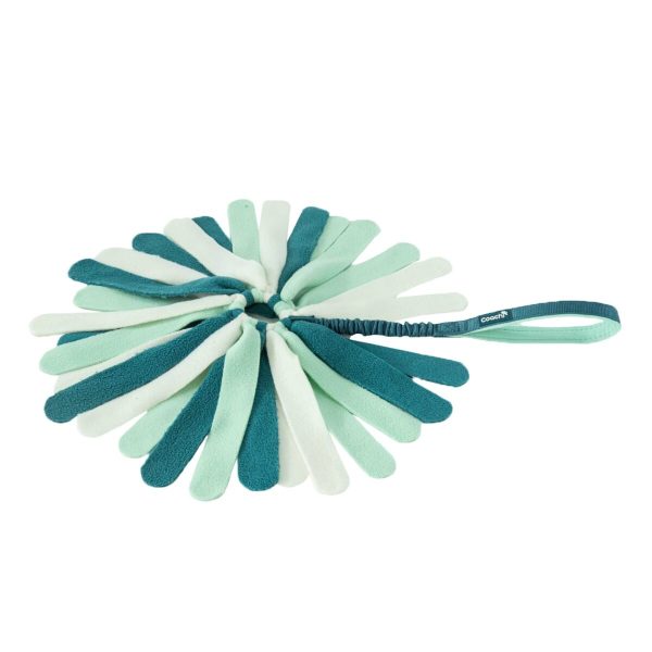 Dog toy Coachi PUPPY & MINI TUGGI SPIDER Green