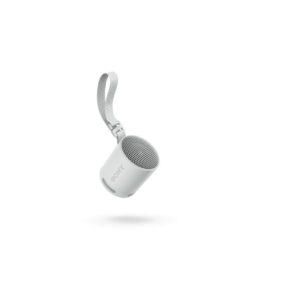 Portable Bluetooth Speakers Sony SRSXB100H.CE7 Grey