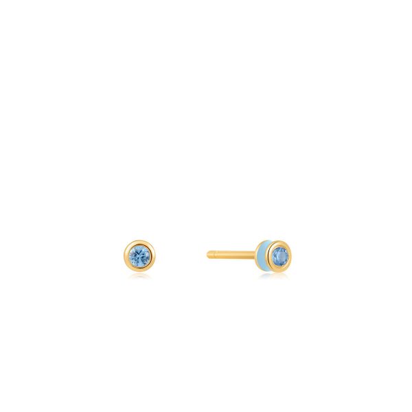 Ladies’ Earrings Ania Haie E028-01G-B