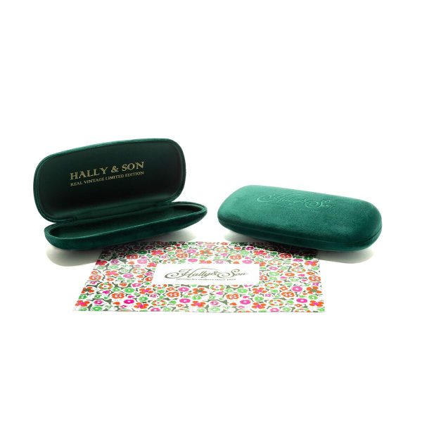 Unisex Sunglasses Hally & Son HS004S02