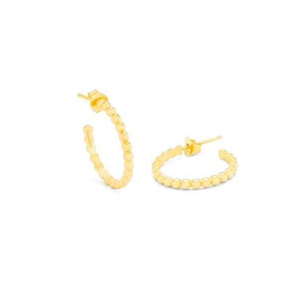 Ladies’ Earrings Radiant RY000016