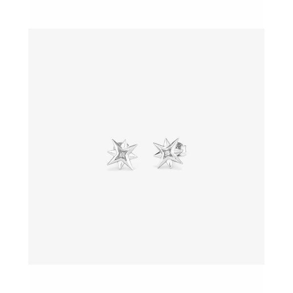 Ladies’ Earrings Radiant RY000032