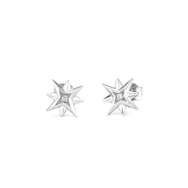 Ladies’ Earrings Radiant RY000032