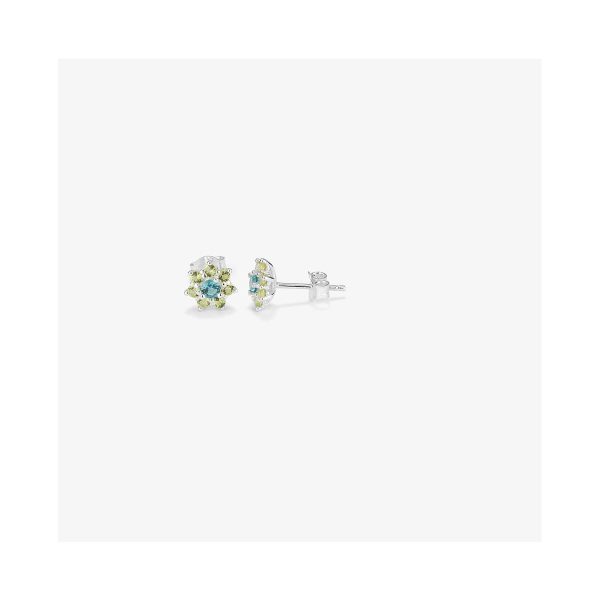 Ladies’ Earrings Radiant RY000109