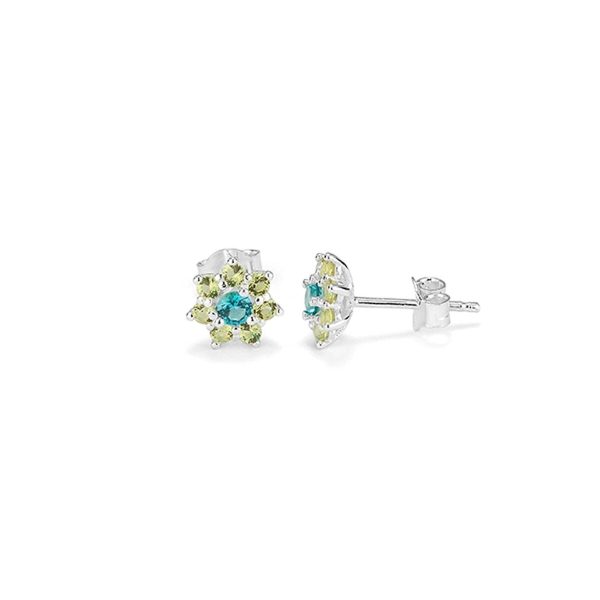 Ladies’ Earrings Radiant RY000109